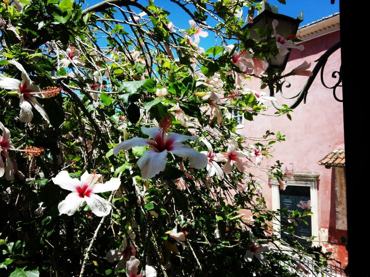 Apartment Venetian Well Cozy Corfu Old Town *